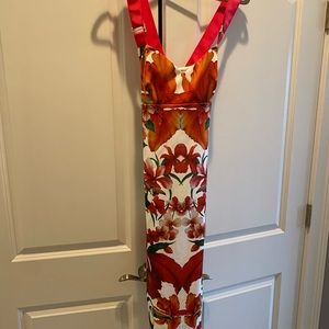 Ted Baker Dress